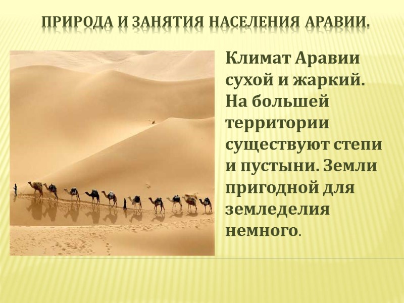 Природа и занятия населения Аравии. Климат Аравии сухой и жаркий. На большей территории 